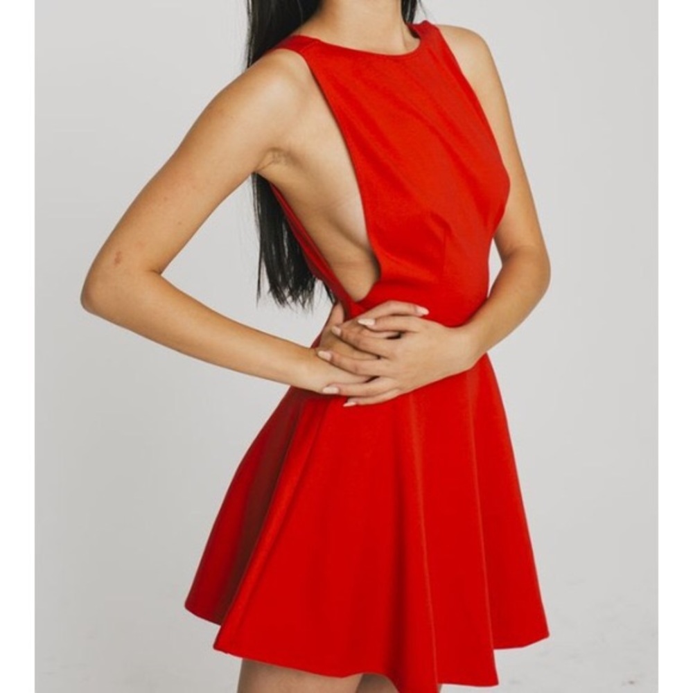 NEW American Apparel sexy skater dress
